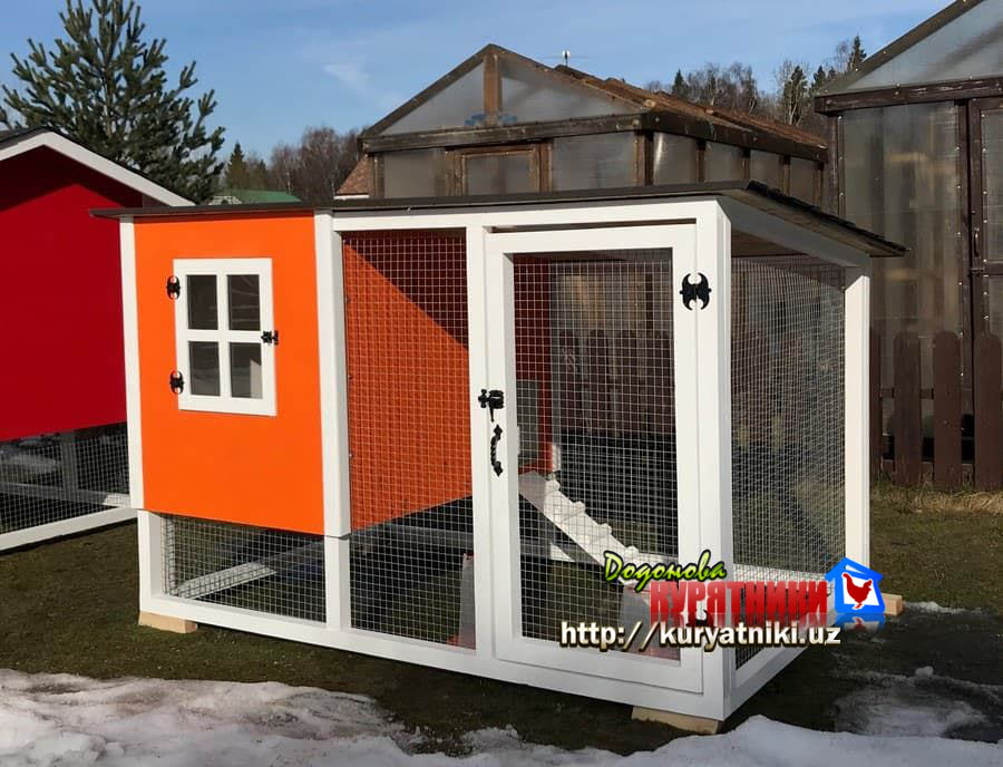 kuryatnik_v_tashkente