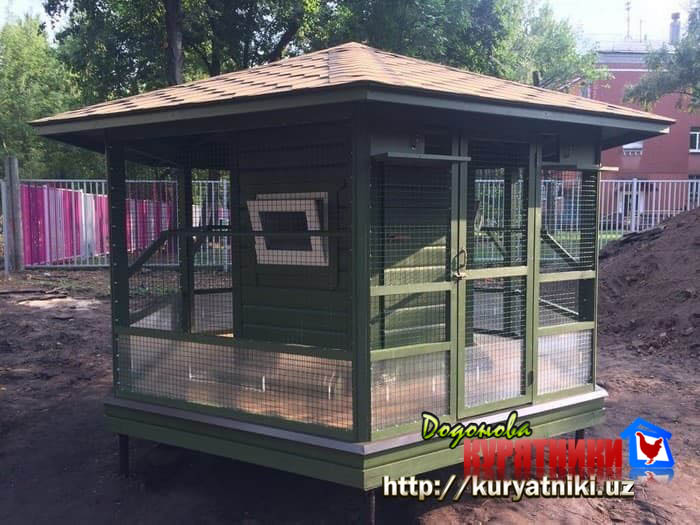 kuryatnik_v_tashkente