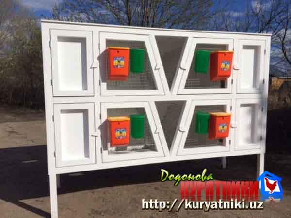 Крольчатник в Ташкенте