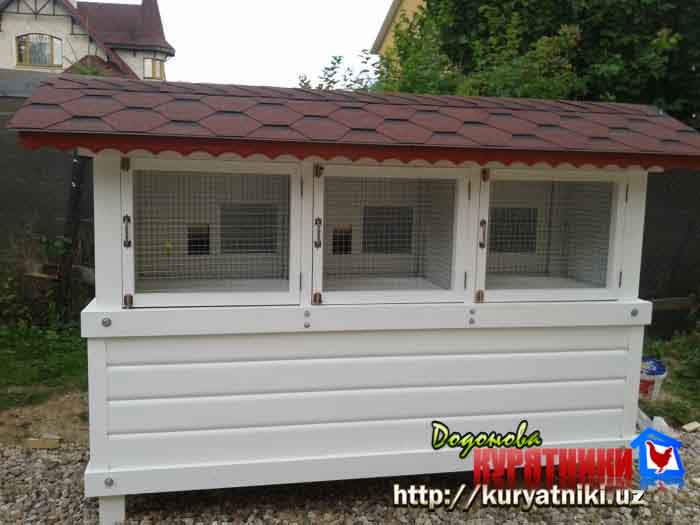 Крольчатник в Ташкенте