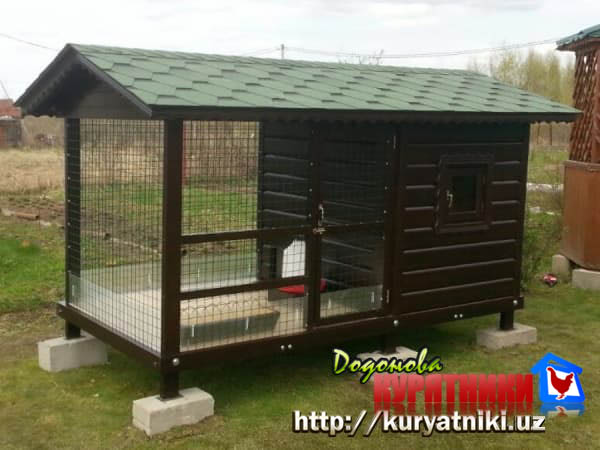 kuryatnik_v_tashkente