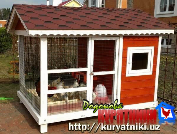 kuryatnik_v_tashkente