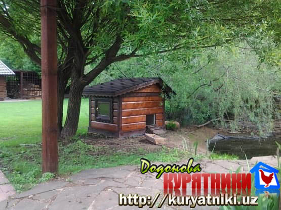 утятник
