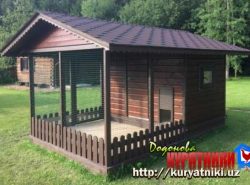 kuryatnik_v_tashkente