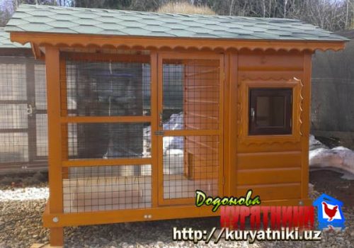 kuryatnik_v_tashkente