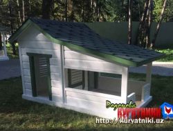 kuryatnik_v_tashkente