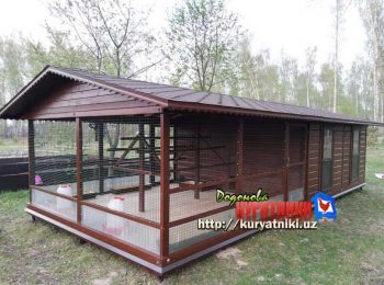 kuryatnik_v_tashkente