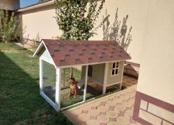 Домик для Собак летний 2